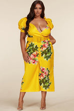 Load image into Gallery viewer, Update